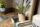 Close-up of a potted plant with books stacked underneath