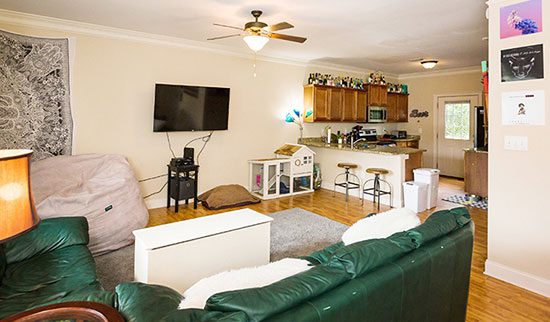 Living room and kitchen with green sofas, light wooden cabinets and snack bar.