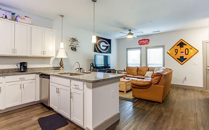 Interior of a homey apartment kitchen and living room